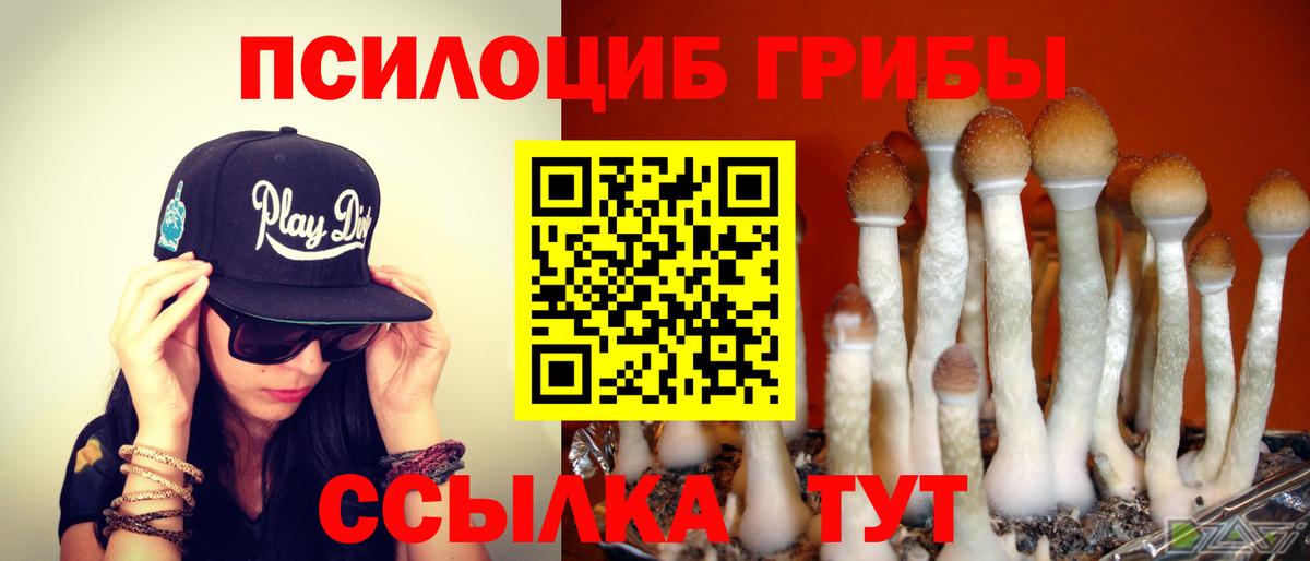 Псилоцибиновые грибы Psilocybe Фролово