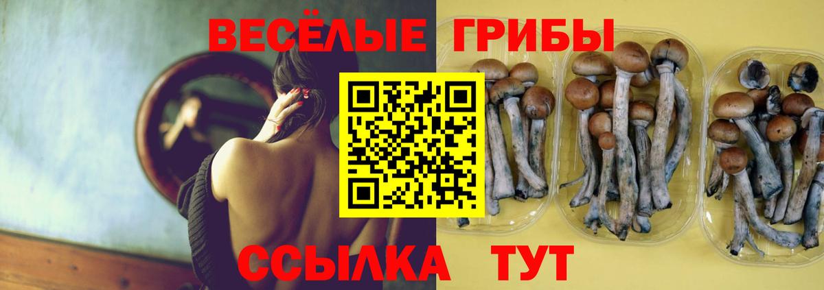 Фролово  Галлюциногенные грибы Psilocybine cubensis  Вход с VPN 
